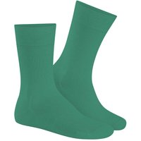 HUDSON Herren RELAX COTTON -  41/42 - Herren Baumwollsocken ohne Gummi - Bamboo (Grün) Hersteller: Hudson Bestellnummer:4037381895334