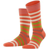 Burlington Businesssocken Hersteller: Burlington Bestellnummer:4049508377500