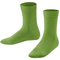 FALKE Socken Family Hersteller: Falke Bestellnummer:4067112273728