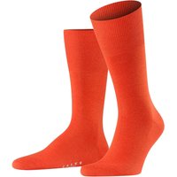 Herren Socken Hersteller: Falke Bestellnummer:4004758680718