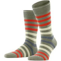 Burlington Socken Blackpool Hersteller: Burlington Bestellnummer:4049508387998