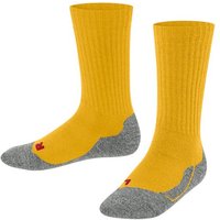 FALKE Socken Active Warm Hersteller: Falke Bestellnummer:4067112381157