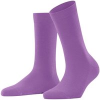 FALKE Socken Family Hersteller: Falke Bestellnummer:4067112383892