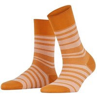 FALKE Socken Sunset Stripe Hersteller: Falke Bestellnummer:4067112112515