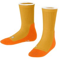 FALKE Socken Active Everyday Hersteller: Falke Bestellnummer:4067112172113