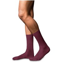 FALKE Socken No. 10 Pure Fil d´Écosse Hersteller: Falke Bestellnummer:4043874830256